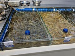 -大锅强·蒸海鲜青岛菜(吾悦广场店)