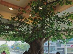 -今一靓汤.顺德菜东莞三十年老字号(厚街店)