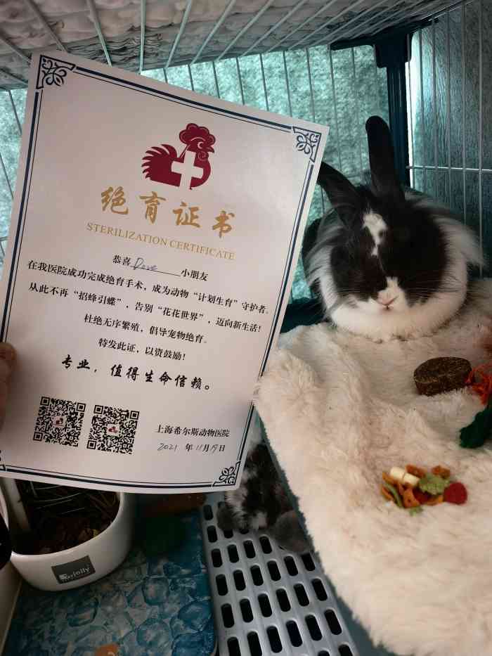 希尔斯动物医院-"【项目】绝育有个头发有点长的医生性格还.