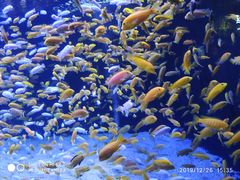 -成都浩海立方海洋公园