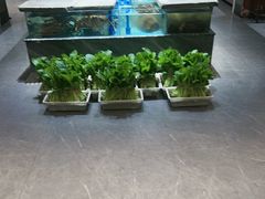 -映像威海·海鲜味道(市区店)