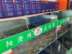 -阳澄湖大闸蟹·琼灵阁牌品牌连锁(吴中总店)