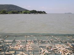 -苏州吴中太湖旅游区