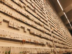 -KKV(深圳宏发大仟里店)