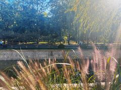 -元大都城垣遗址公园