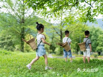 在秦岭楼房沟，和孩子们过22度的夏天！