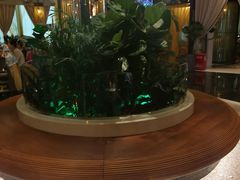 -润园四季椰子鸡火锅(海上世界店)