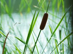 -浙江万里学院(钱湖校区)