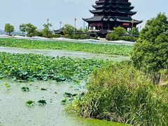 -重元寺香积厨素斋馆