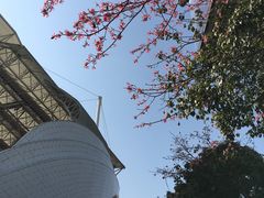 -海心沙亚运公园