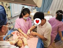 -杭州贝瑞斯美华妇儿医院·早孕·产检·儿科