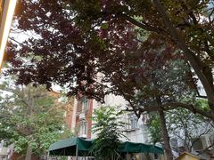 -正宗天津烧麦馆(柳州路店)