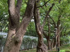 -上海宋庆龄故居纪念馆