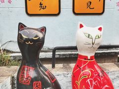 -猫咪博物馆(顶澳仔猫街店)