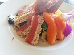 虾金枪鱼沙拉-Fish Hopper