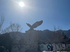 -北京鹫峰国家森林公园