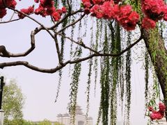 -莲花池公园