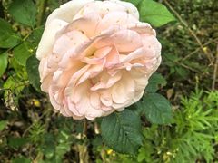 -万达广场(扬州邗江店)