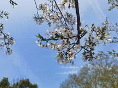 -龟山风景区-龟山电视塔