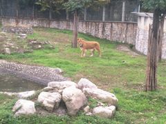 -西安秦岭野生动物园