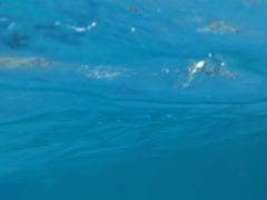-海豚堡温泉水乐园