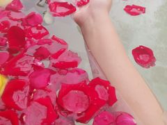 -天目湖涵田半山温泉