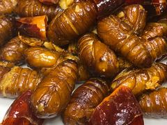 -一轩饺子馆(丽都店)