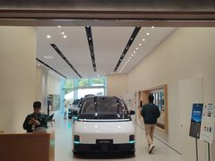 -理想汽车(世纪汇店)