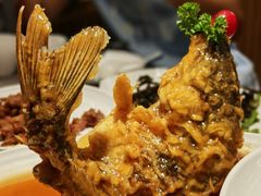 糖醋黄河鲤鱼-闫府私房菜·百年鲁菜(恒隆店)