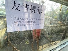 -东湖小天池真人CS彩弹野战基地
