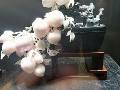 -【朵云轩艺术中心】博洛尼亚插画展·中国巡展·上海站