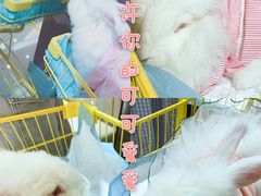 -茂业百货(东门店)