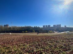 -长春世界雕塑园冰雪艺术天地