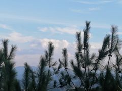 -千岛湖天屿景区
