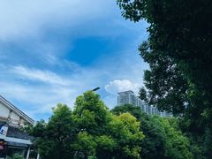 -知亘茶食