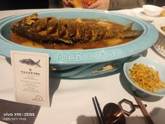 -阿五黄河大鲤鱼(海尚店)