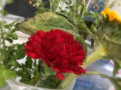 -苏乡兰亭·新派淮扬菜(吾悦广场店)