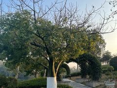 -东莞植物园