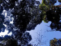 -凤栖山