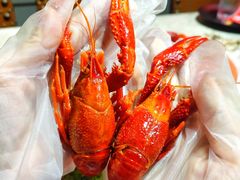 -沪小胖小龙虾(淮海中路旗舰店)