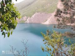 -树山生态村