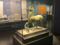 -广西壮族自治区博物馆