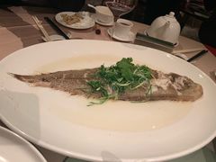 -陶陶居海鲜酒家(新马路店)