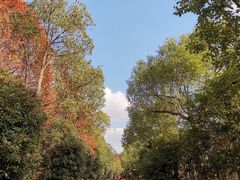 -上海海湾国家森林公园