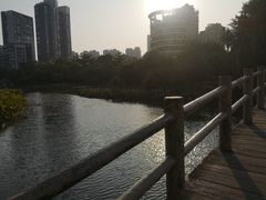-金山公园