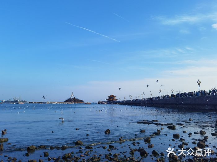 栈桥景区图片