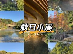 -云溪植物园