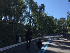-飞凤山奥体公园