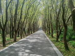 -同里国家湿地公园