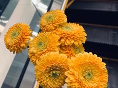 -豆豆花艺(新光天地店)